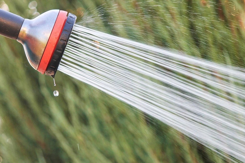 Cleaning shower